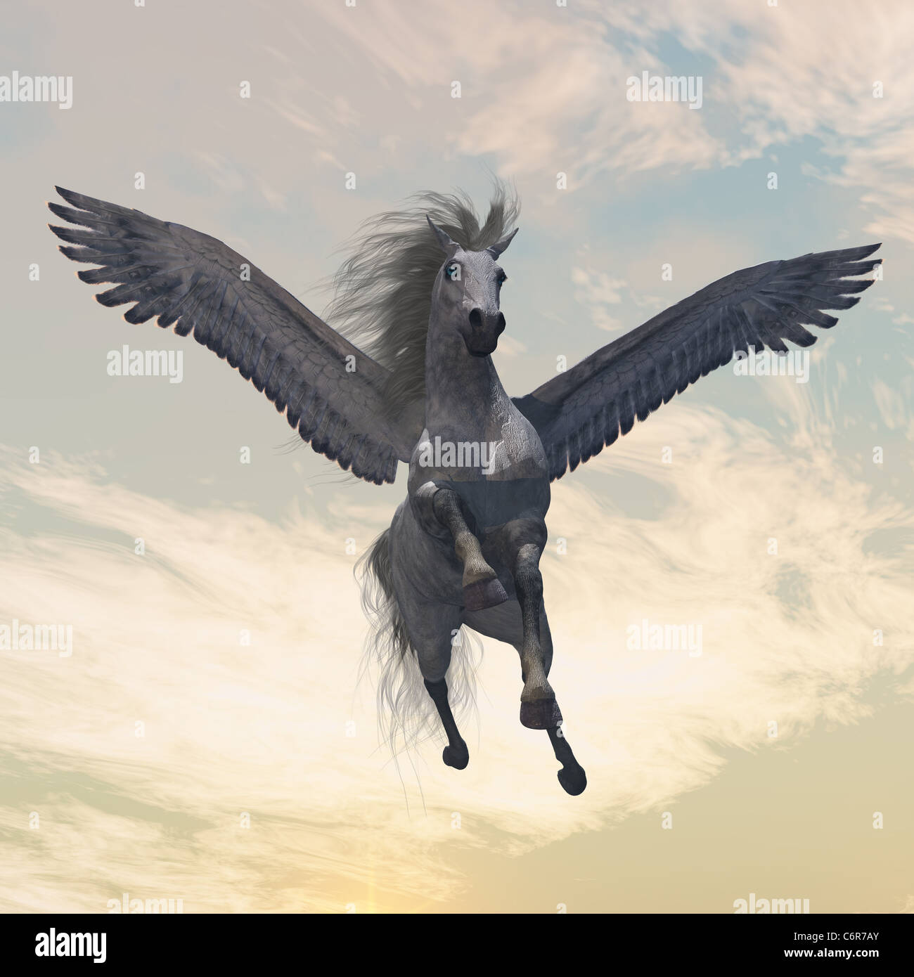 Beautiful white pegasus horse flies hi-res stock photography and images ...