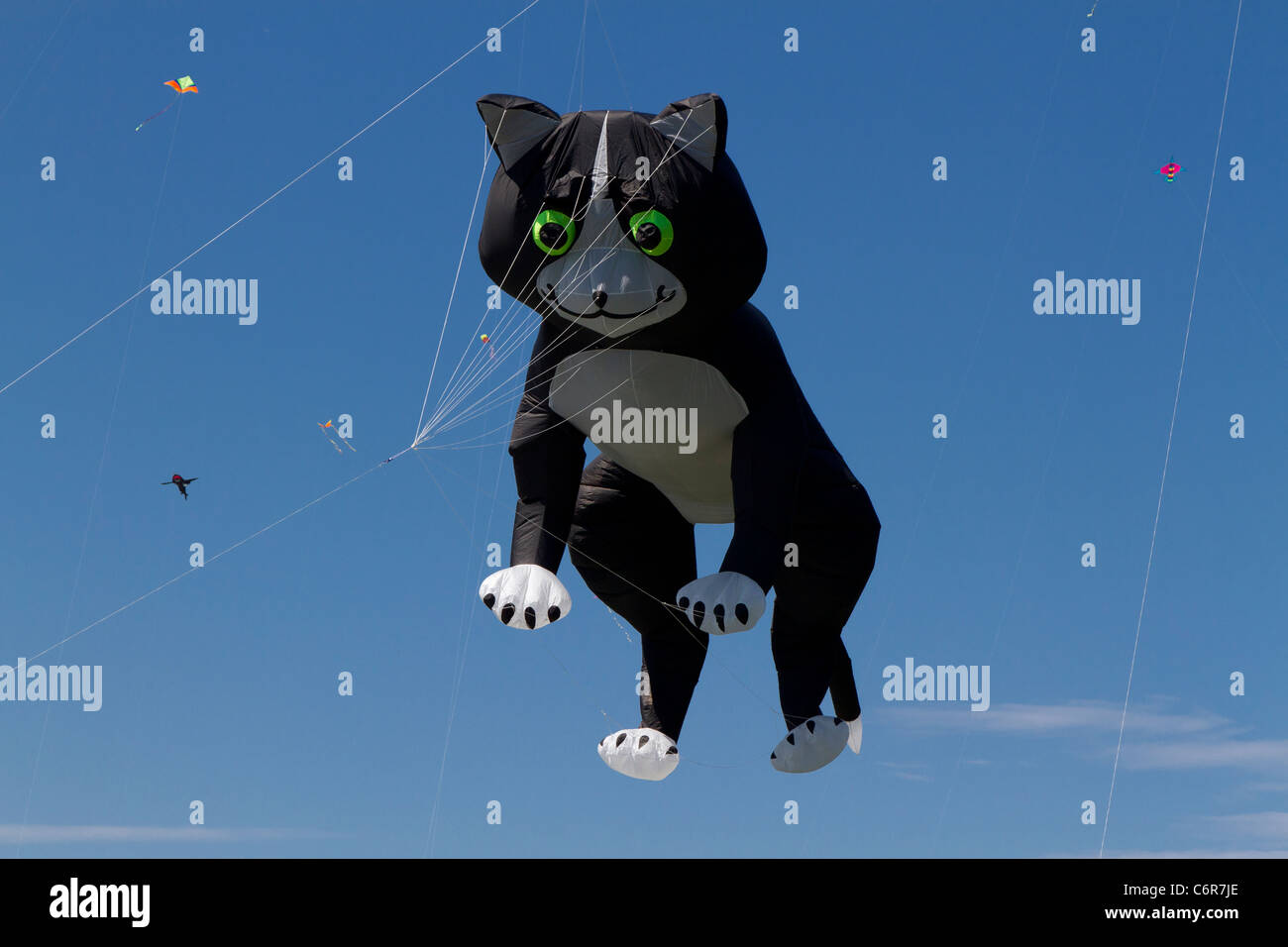 Cat kite hires stock photography and images Alamy