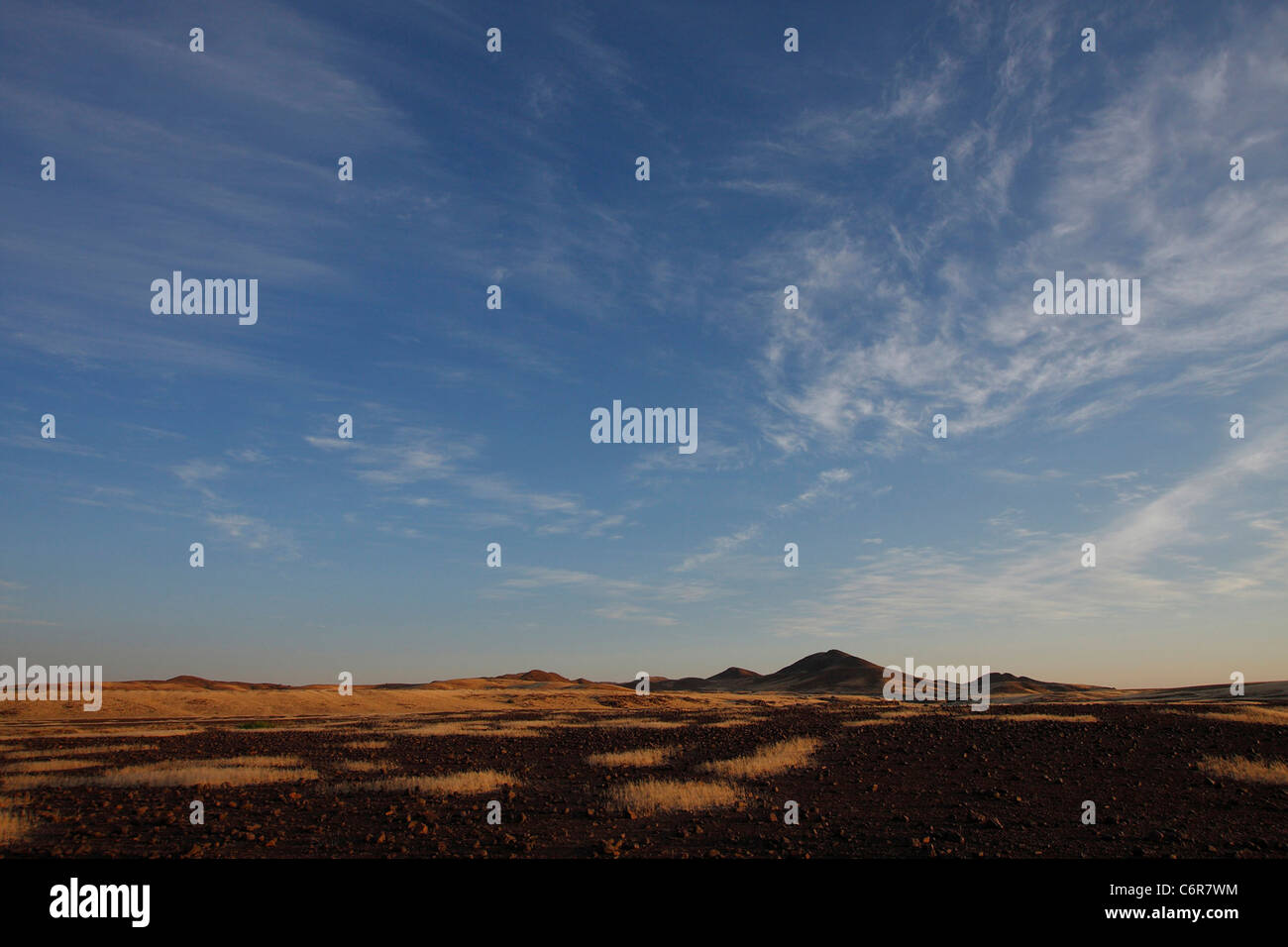 Desert landscape Stock Photo