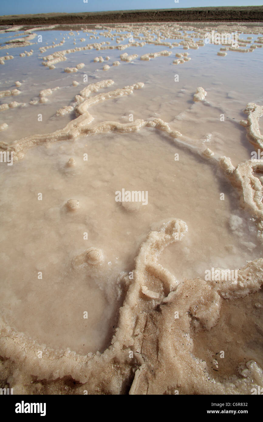 Salt crystals in evaporation dam Stock Photo