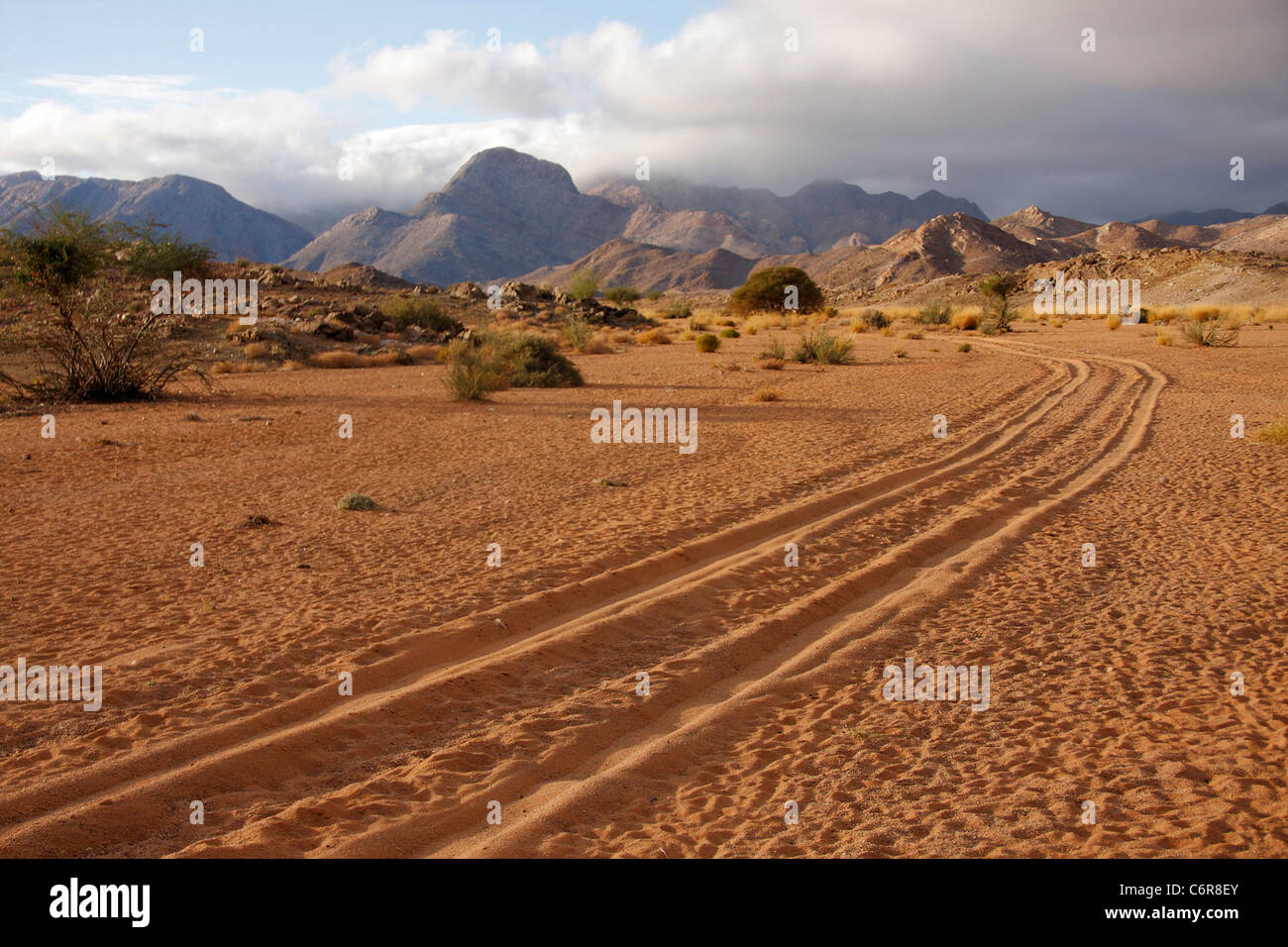 Semi-desert landscape with jeep tracks and Rosuintjieberg mountains in the distance. Stock Photo