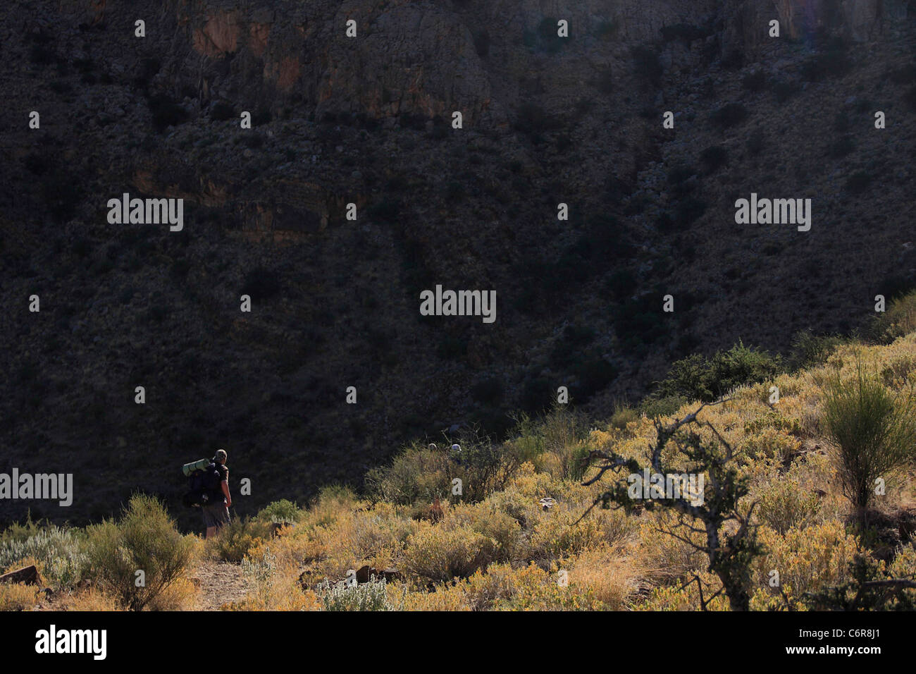 Lone hiker in semi-desert landscape Stock Photo