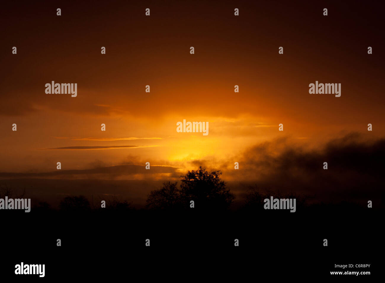 Bushveld sunset with orange sky and tree silhouette Stock Photo