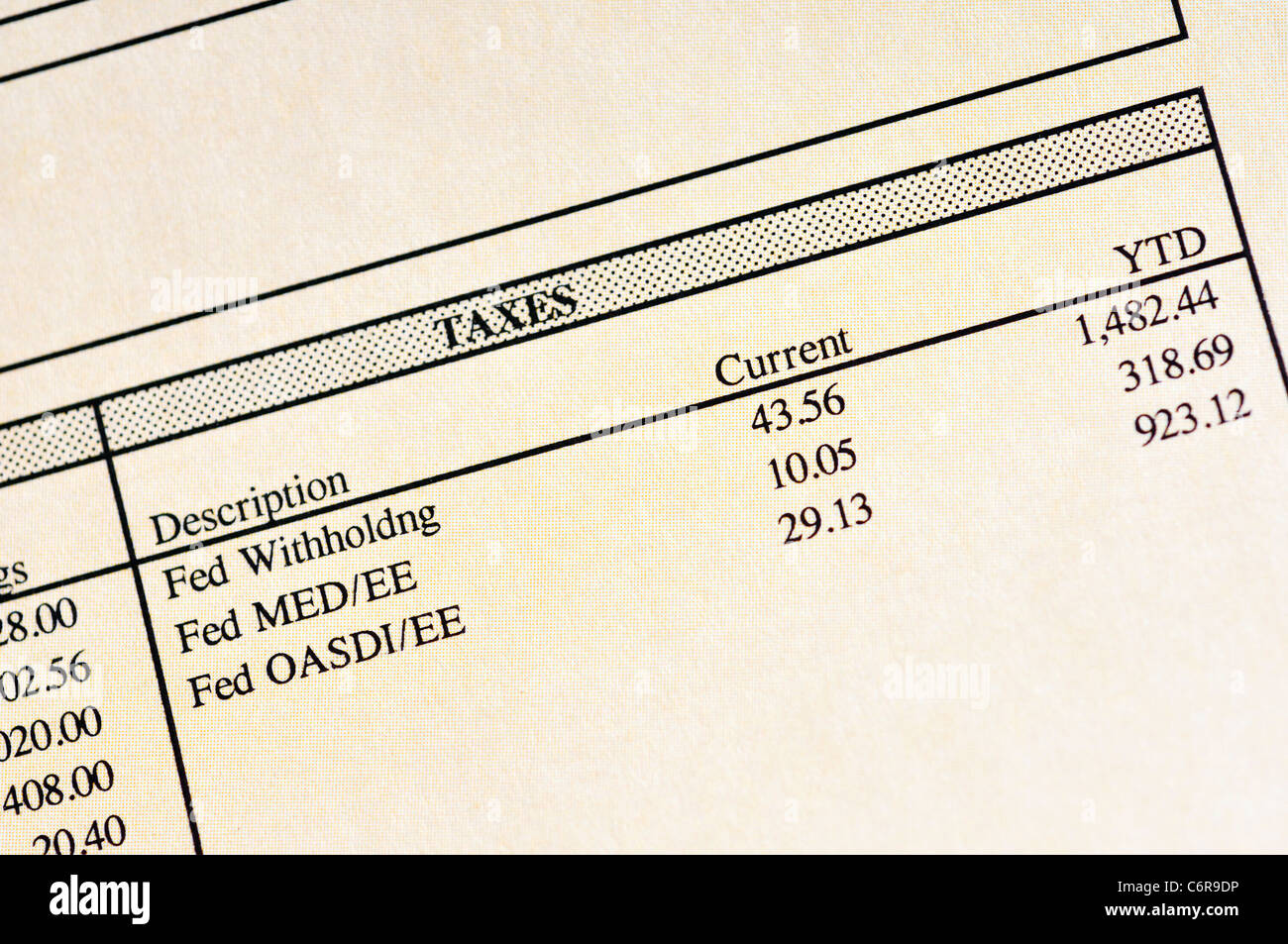 Closeup of  paycheck - taxes withheld Stock Photo