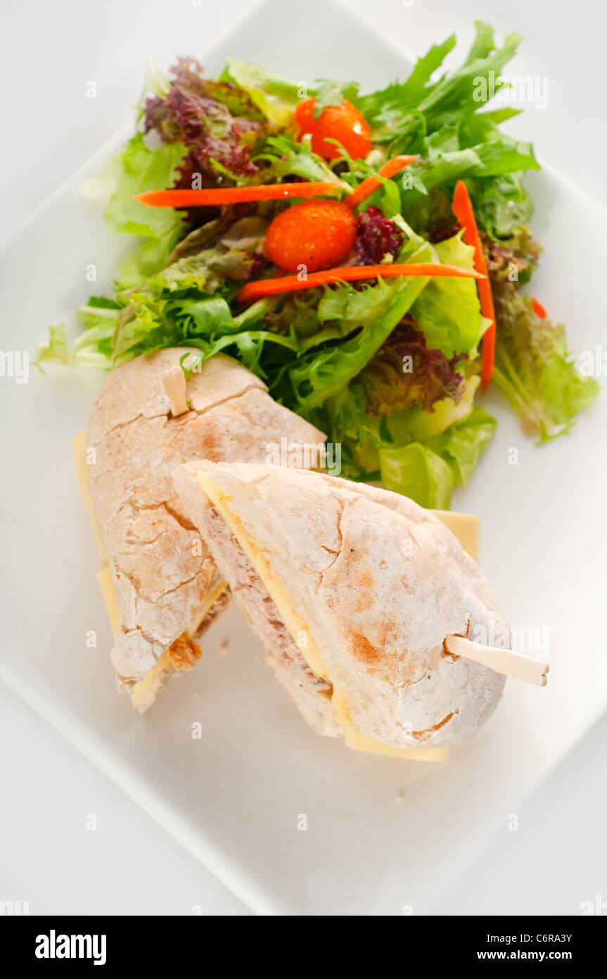tuna fish and cheese sandwich with fresh mixed salad ,MORE DELICIOUS FOOD ON PORTFOLIO Stock