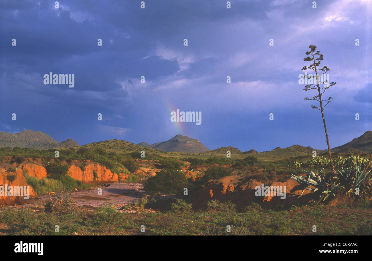 Rainbow sky landscape hi-res stock photography and images - Alamy