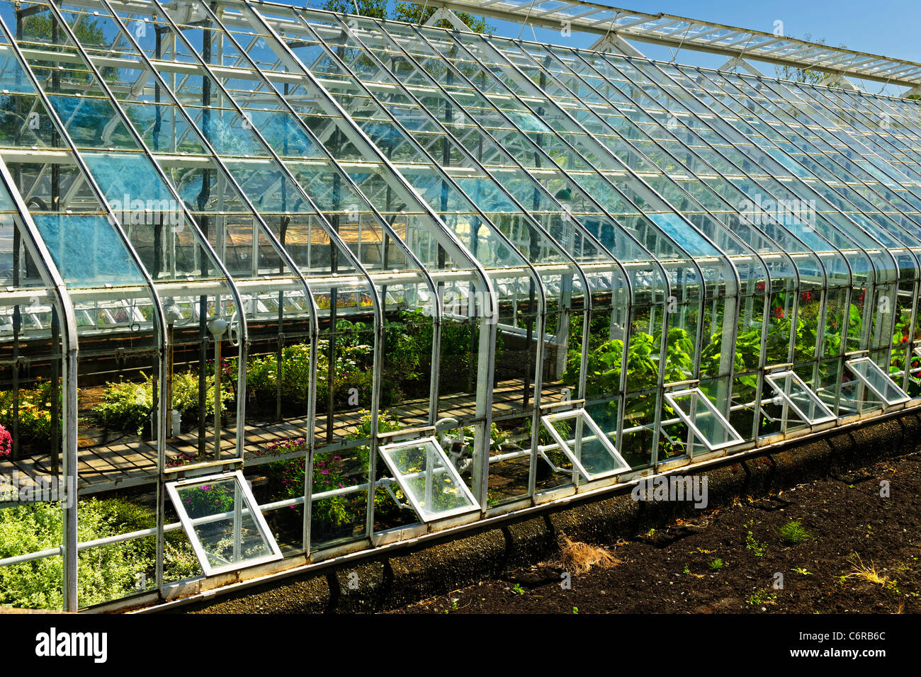 Large glass greenhouse or hothouse building exterior with plants Stock Photo