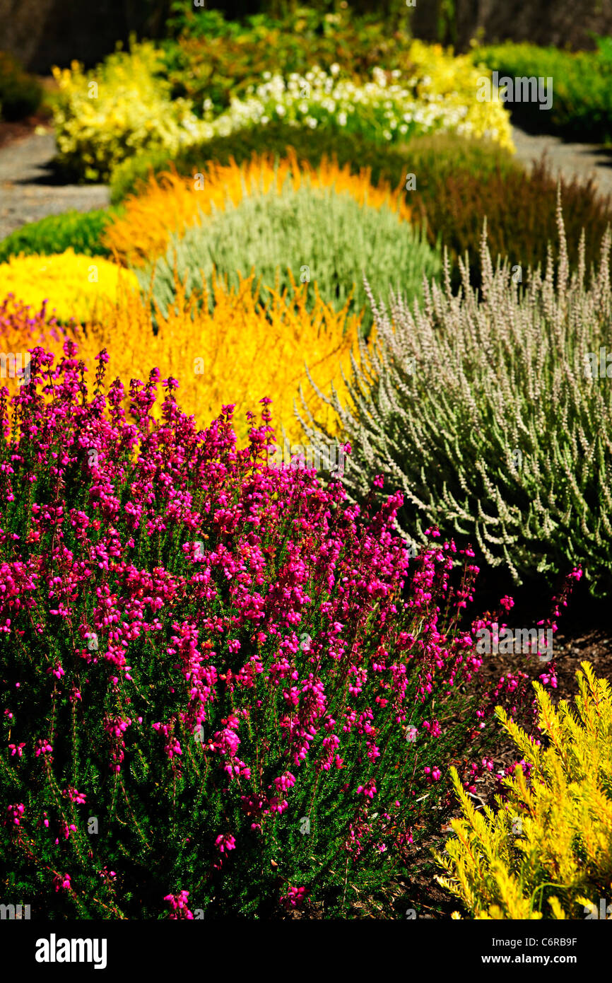 Beautiful Colorful Flower Garden With Various Flowers Stock Photo Alamy