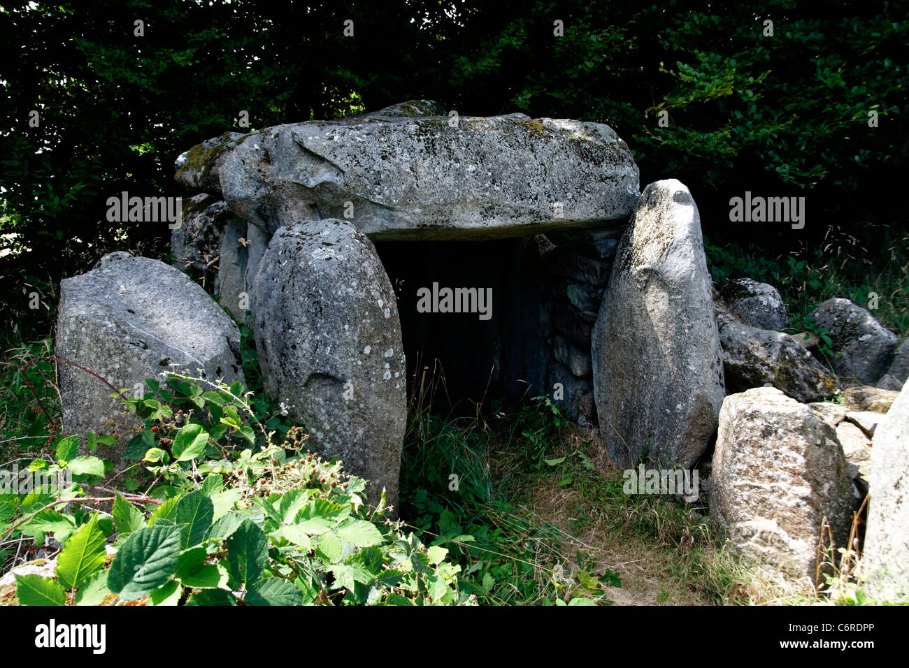 Megalithic site La table au diable (the table to the devil), Passais