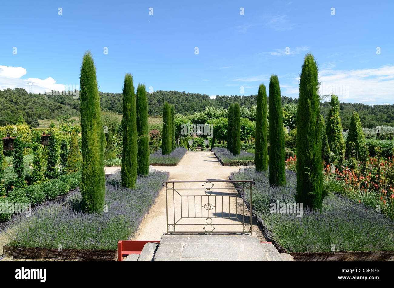 Avenue of Mediterranean Cypress Trees, Cupressus sempervirens & Central Path at the Val Joannis Gardens & Domaine, Luberon, Pertuis, Provence, France Stock Photo