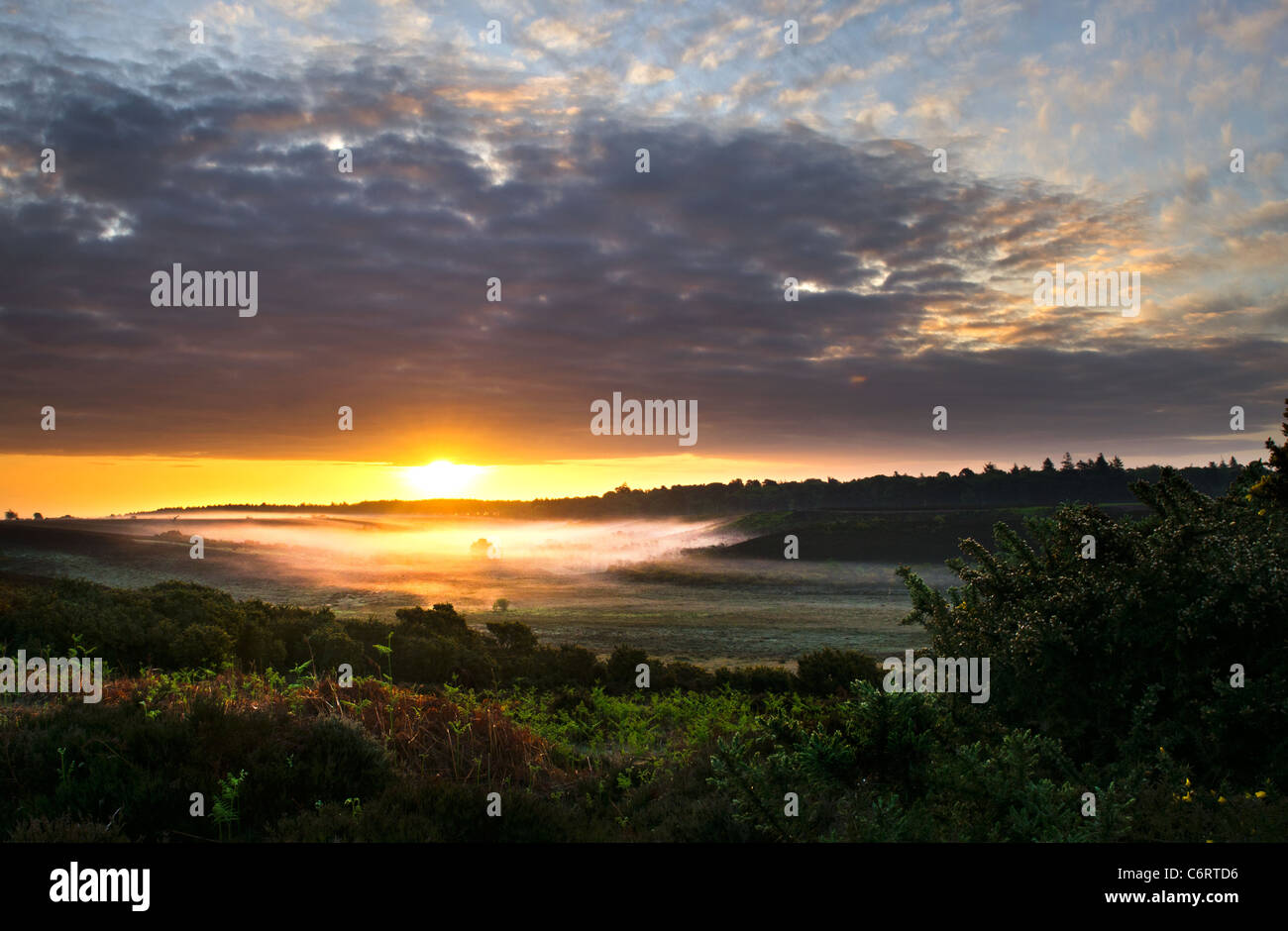 Misty dawn sunrise in the New Forest National Park Stock Photo