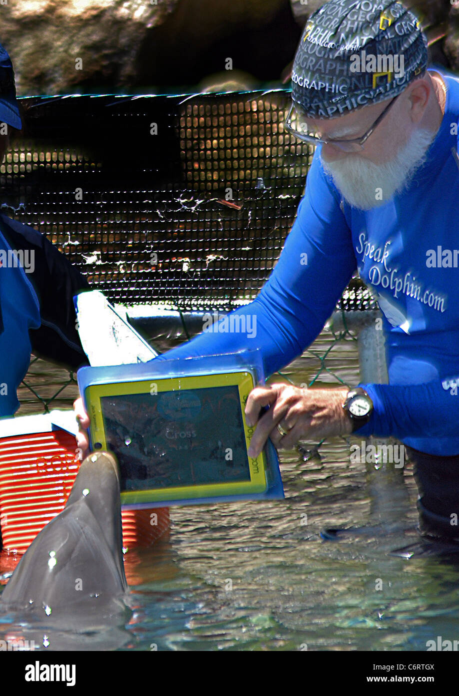 Dolphin uses iPad as way to communicate with humans A young bottlenose(02)