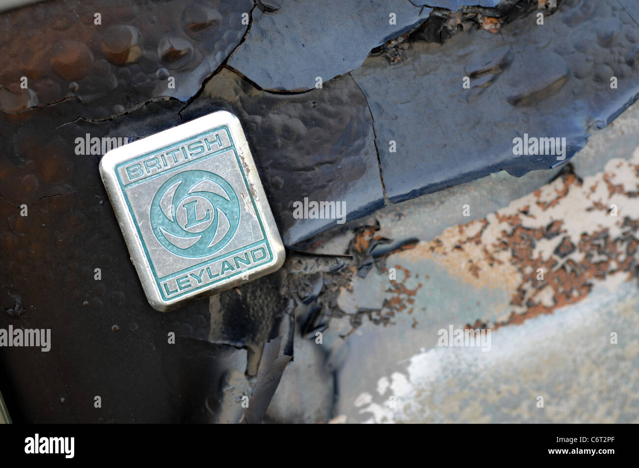 Leyland badge hi-res stock photography and images - Alamy