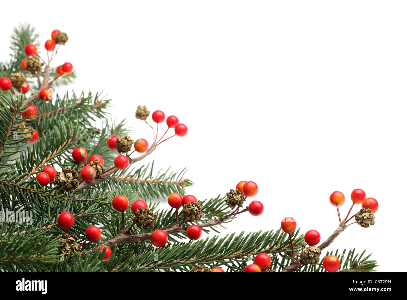 Pine branches and berries for Christmas border. Stock Photo
