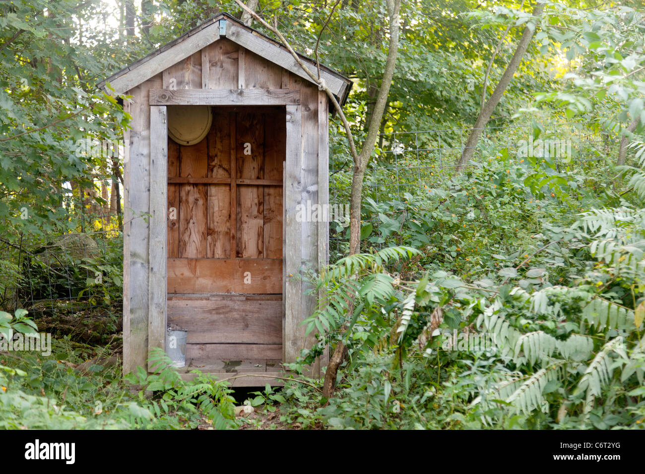 Outhouse in the woods, upstate New York Stock Photo