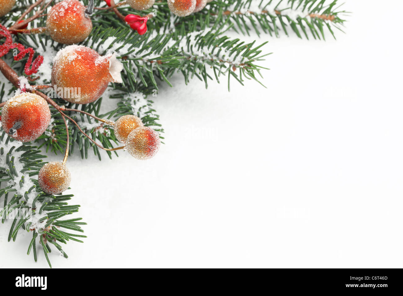 Pine branches and berries with snow for Christmas border. Stock Photo
