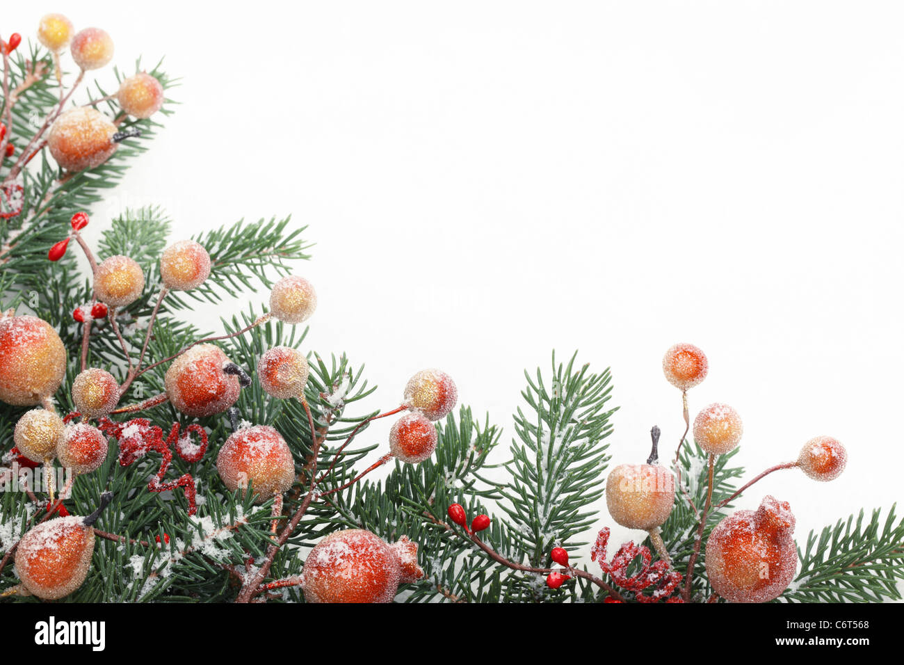 Pine branches and berries with snow. Stock Photo