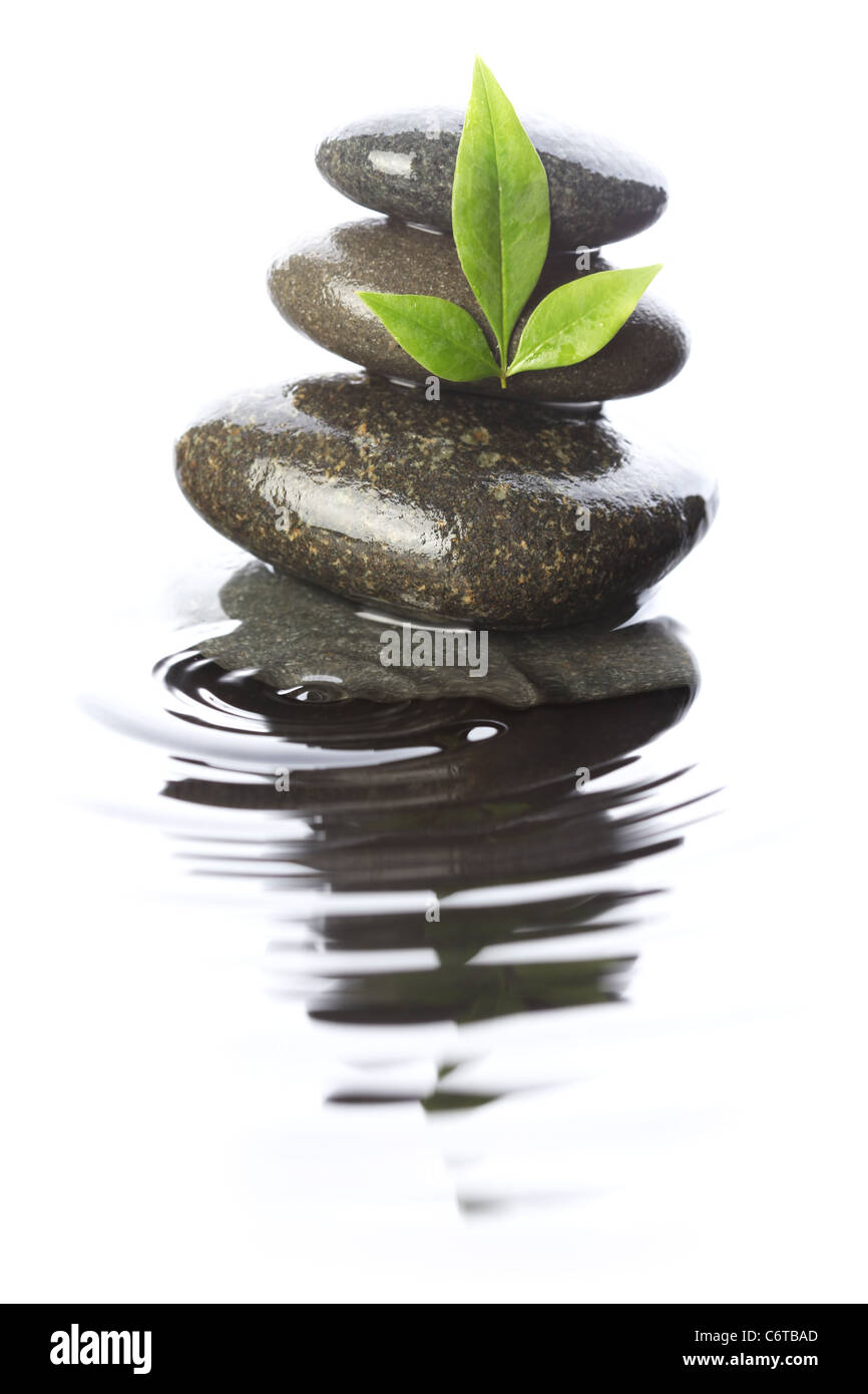 Stones in water with leaves Stock Photo