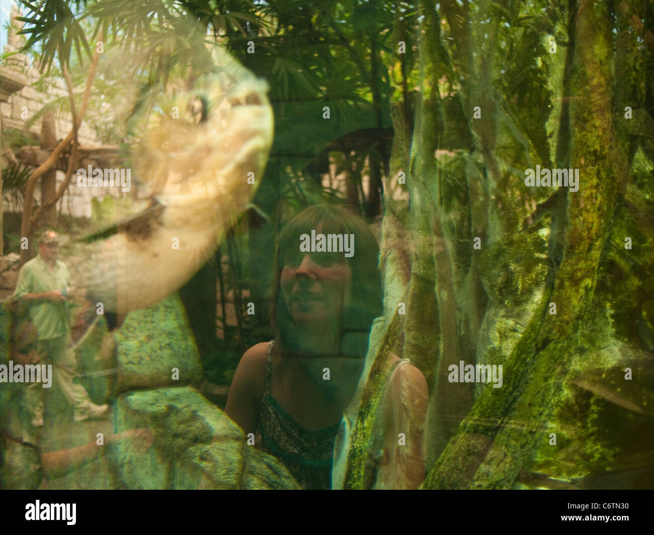 Reflective Fish Tank Fish swimming tank landscape hi-res stock photography and images - Alamy