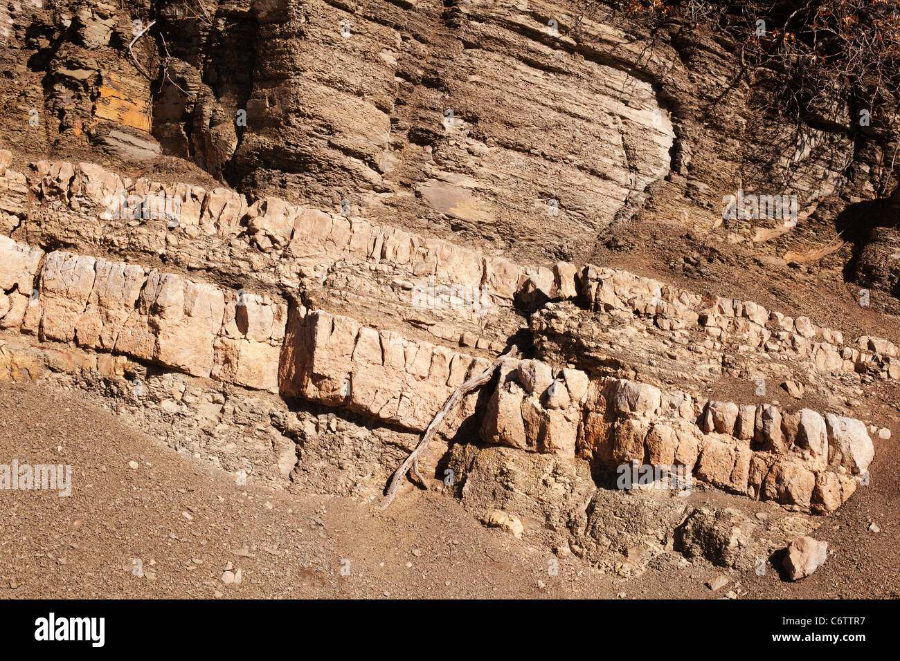 Ancient tilted and sedimentary rock exposure on Sandia Peak, New Mexico. Stock Photo