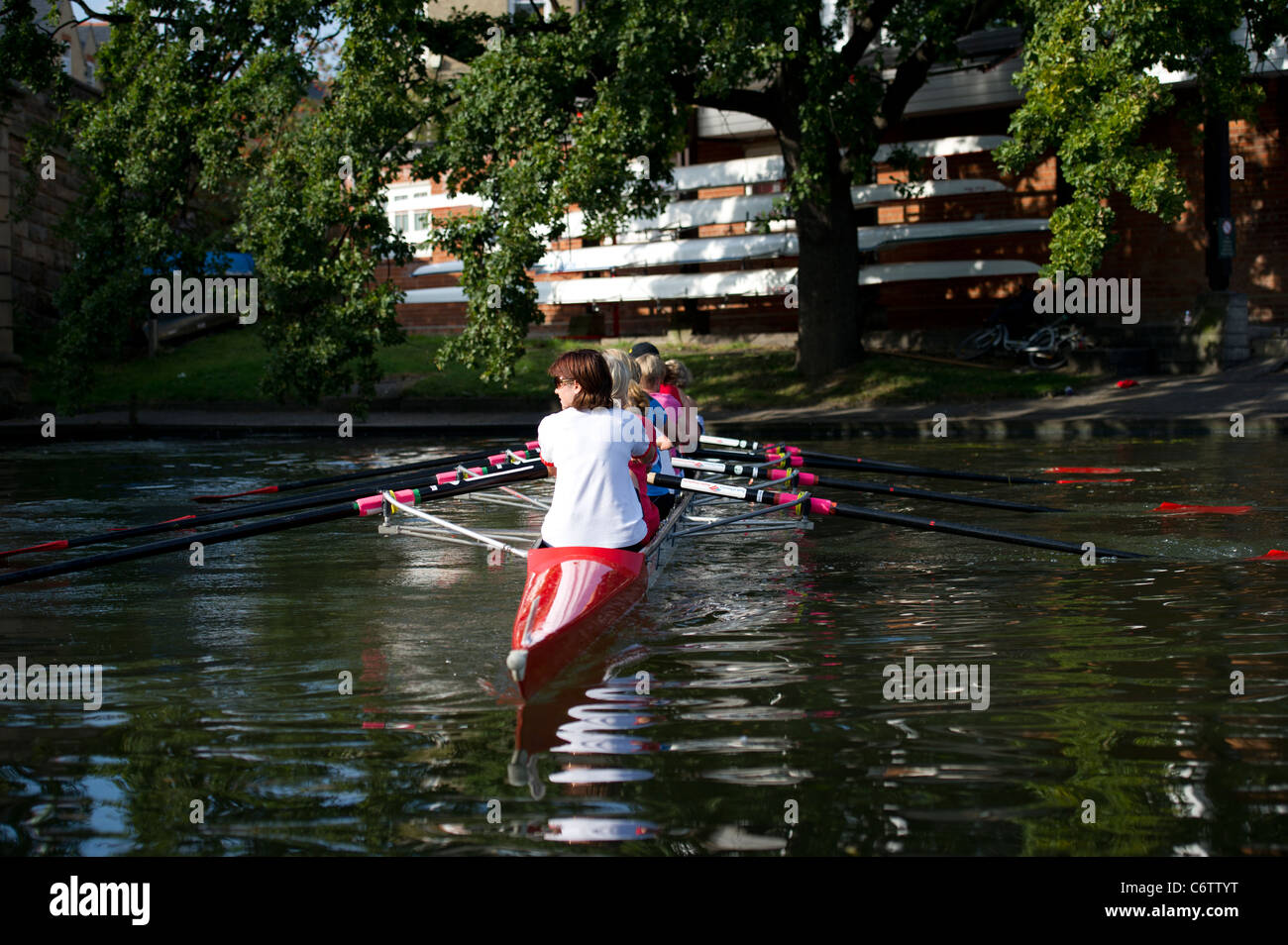 Women rowing team cox hires stock photography and images Alamy