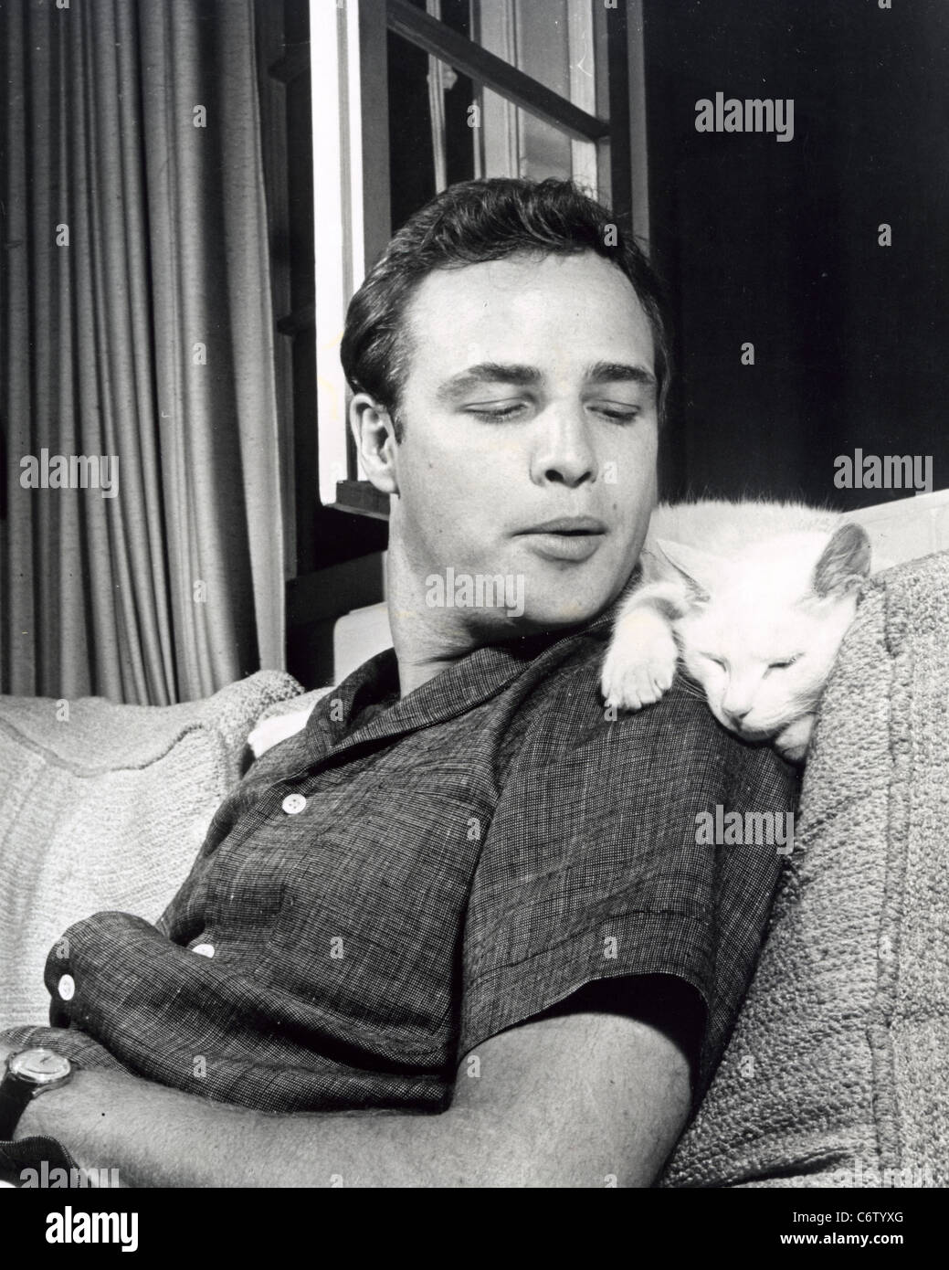 Marlon brando with cat hi-res stock photography and images - Alamy
