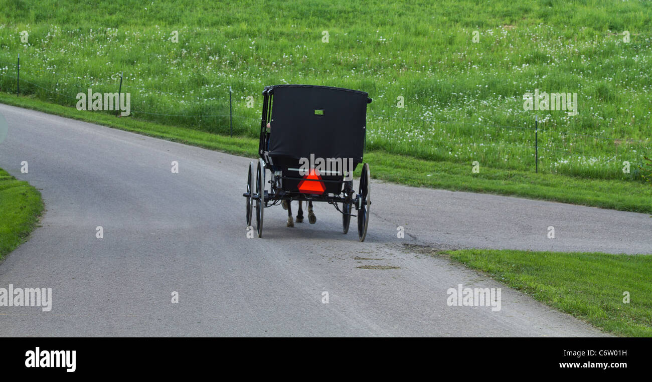 Woman driving a buggy hi-res stock photography and images - Alamy