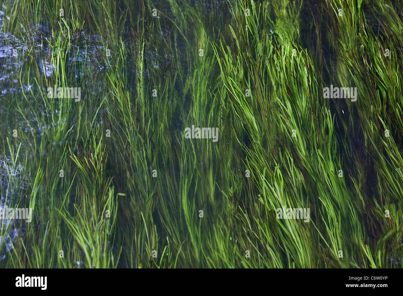 Denham Best Kept Village Stock Photo Alamy