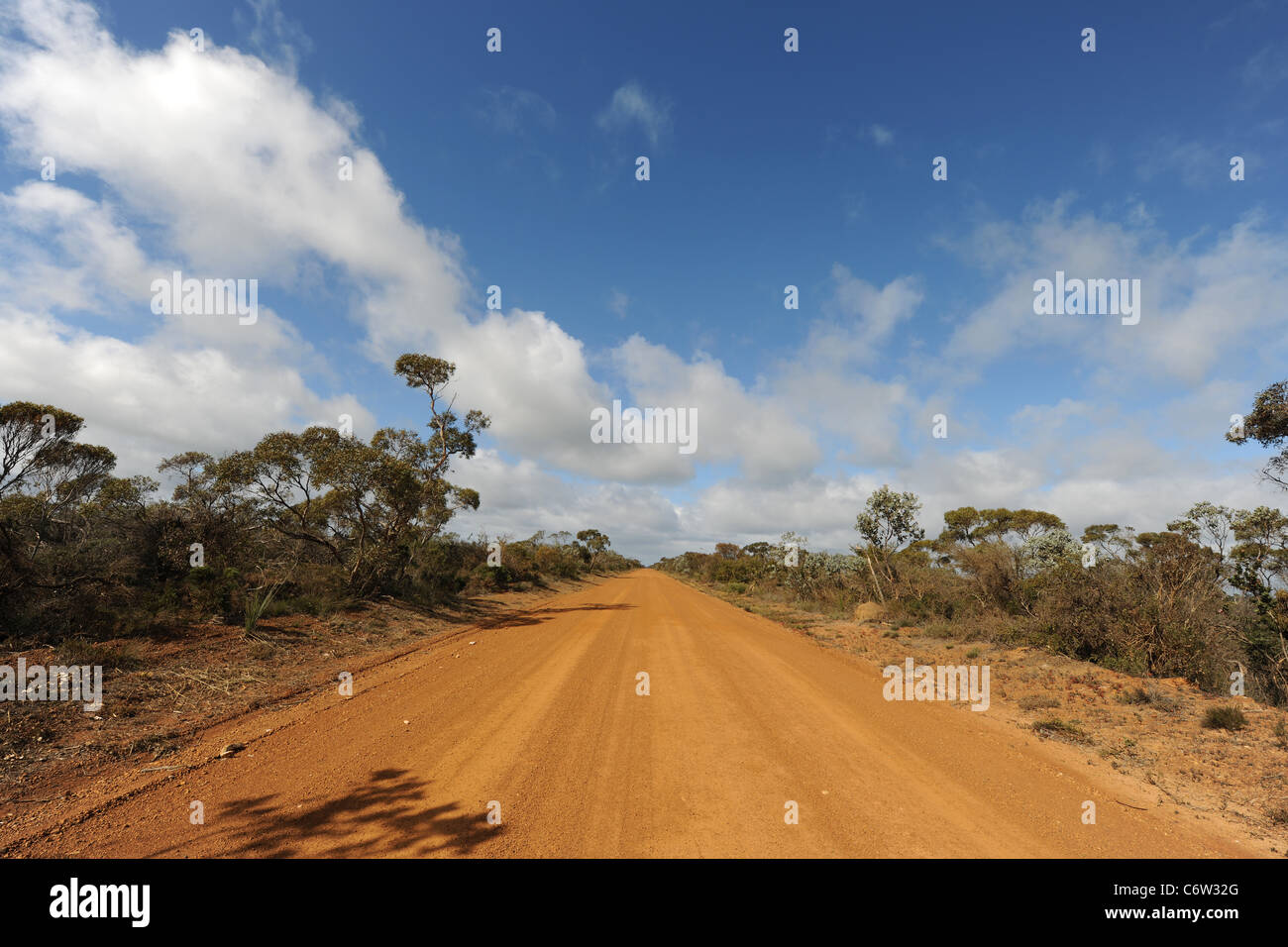 dirt track off South Coast Highway, Esperance Shire, Western Australia, Australia Stock Photo