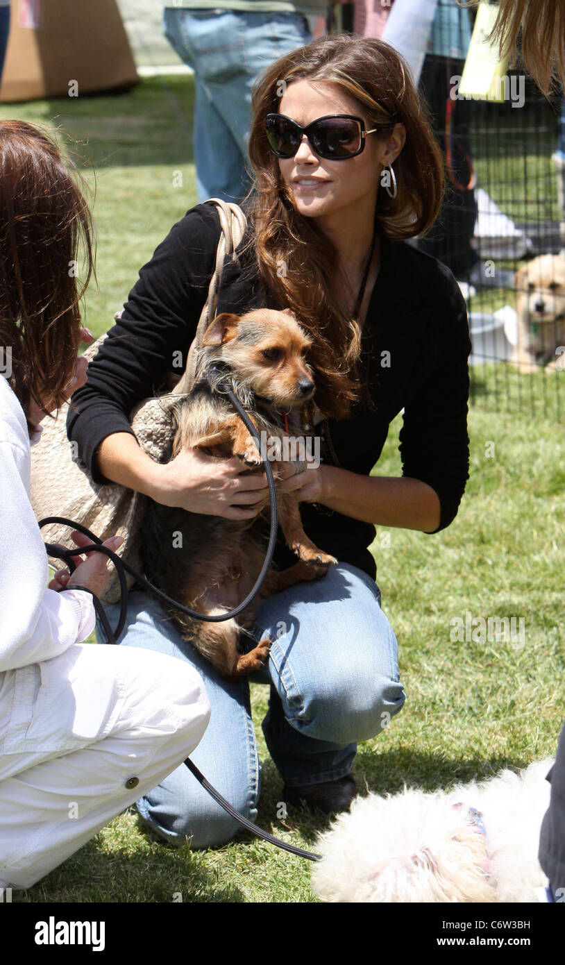 Denise Richards, Best Friends Los Angeles Spring Super Adoption