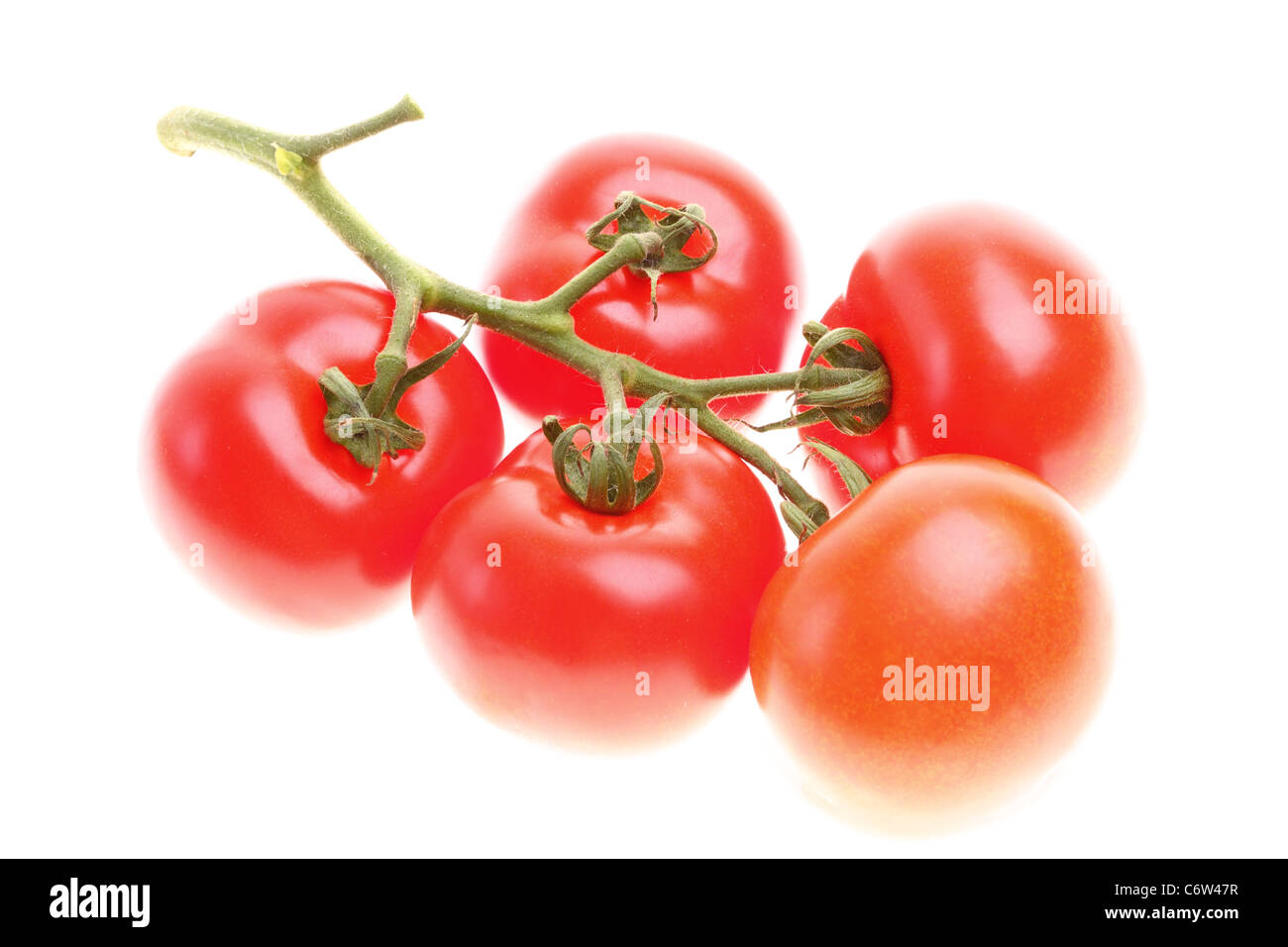 Tomato isolated on white background Stock Photo - Alamy