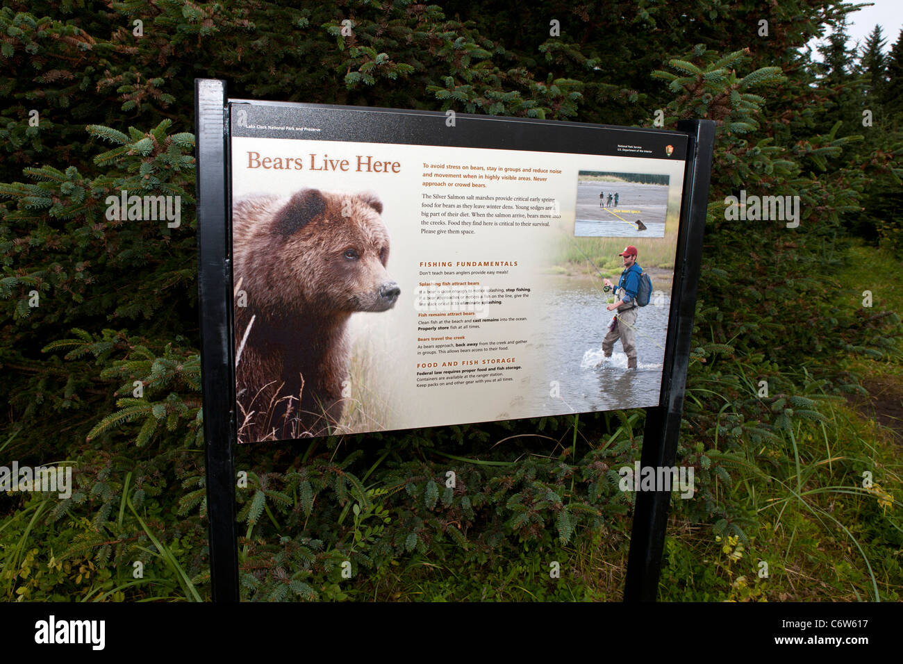 Brown Bears - Lake Clark National Park & Preserve (U.S. National Park  Service)