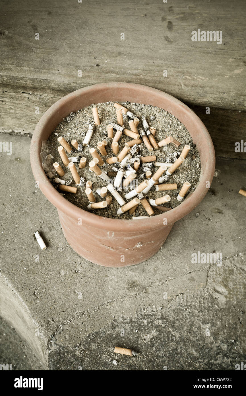 Discarded Cigarette Butts in Flower Pot Stock Photo