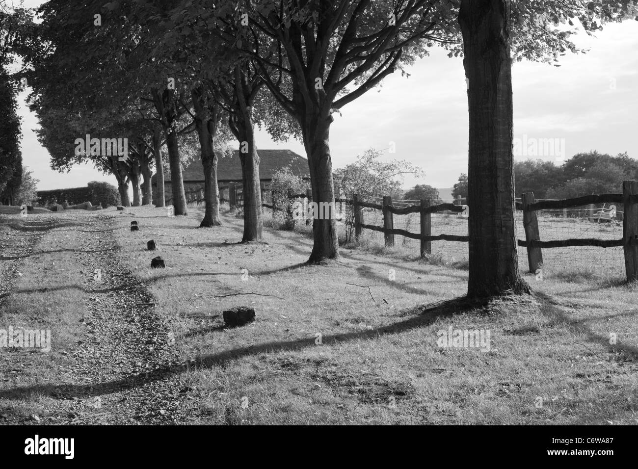 Black and white country lane near Plumpton, South Downs East Sussex