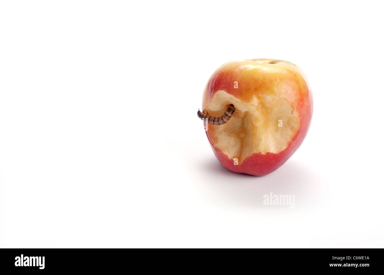 Red and yellow apple with a worm crawling out of the center. Stock Photo