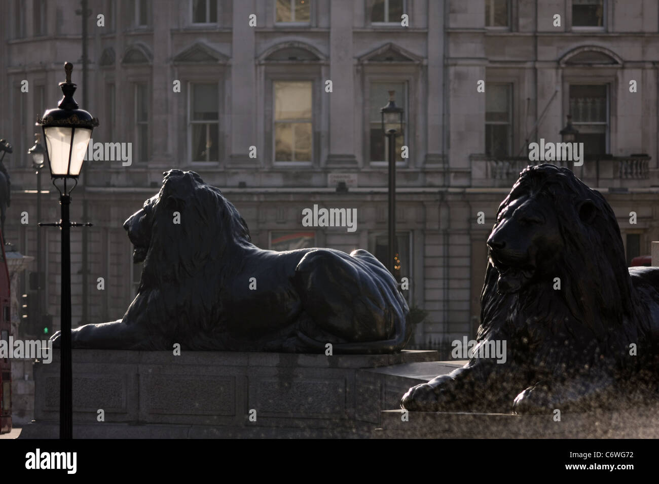 Two of the lions surrounding Nelson's column in Trafalgar Square Stock Photo