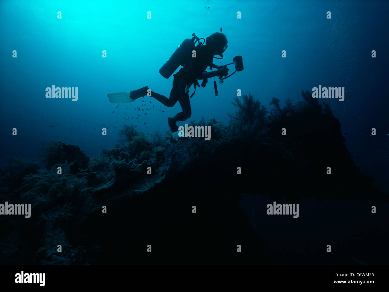 Diver explores a coral reef with photographic equipment. Egypt, Red Sea Stock Photo
