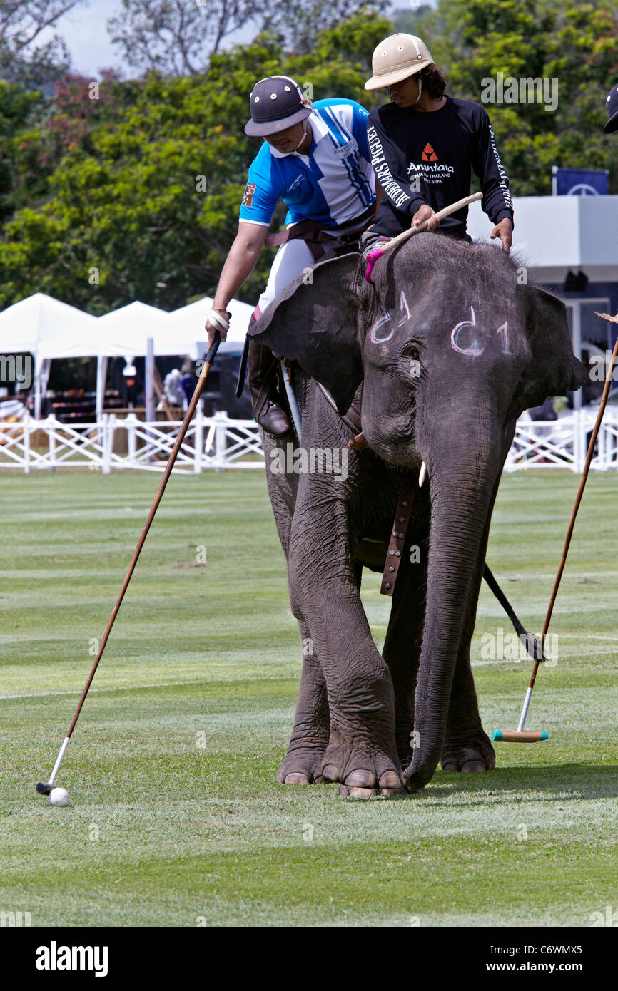 Elephant polo match action. 2011 Kings Cup. Hua Hin, Thailand, S. E. Asia Stock Photo
