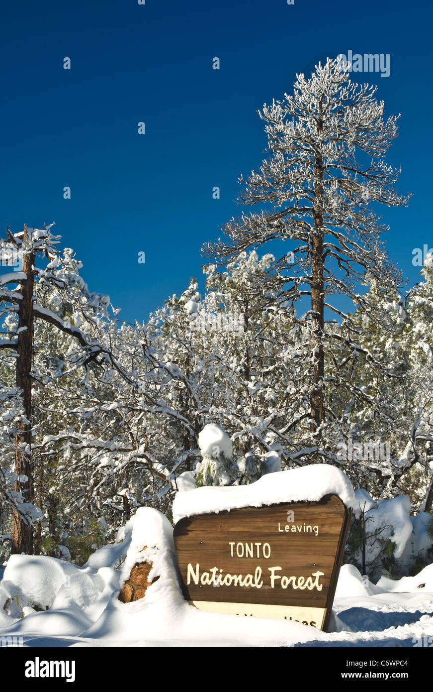 The Tonto National Forest, 2,873,200 acres (11,627 km2