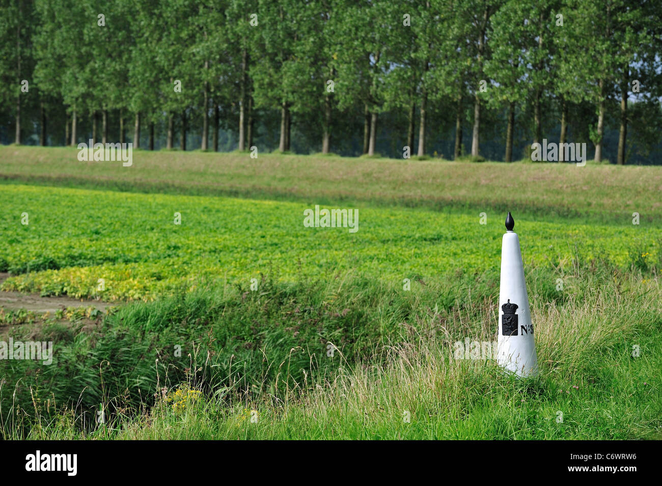 White boundary / border post between the Netherlands and Belgium in polder lined with poplars, Meetjesland, East Flanders Stock Photo