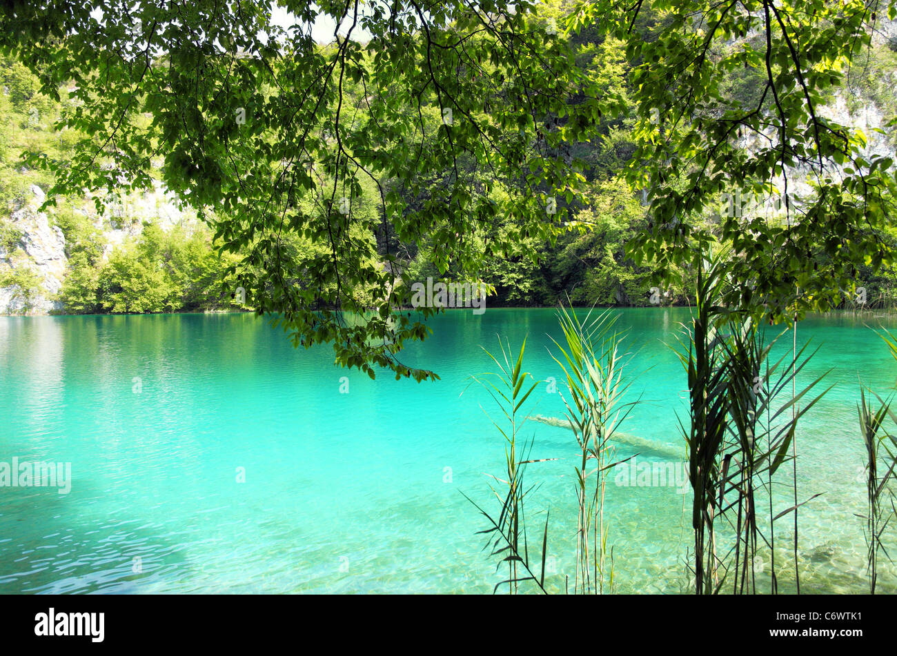 Crystal clear water falling hi-res stock photography and images - Alamy