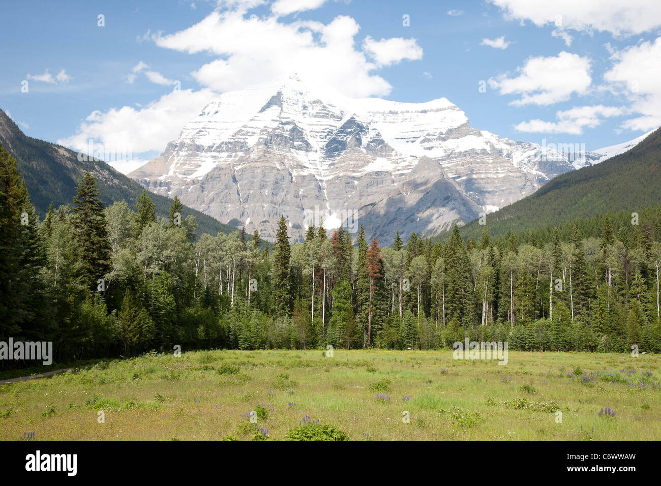 Mount Robson with a clear top Stock Photo