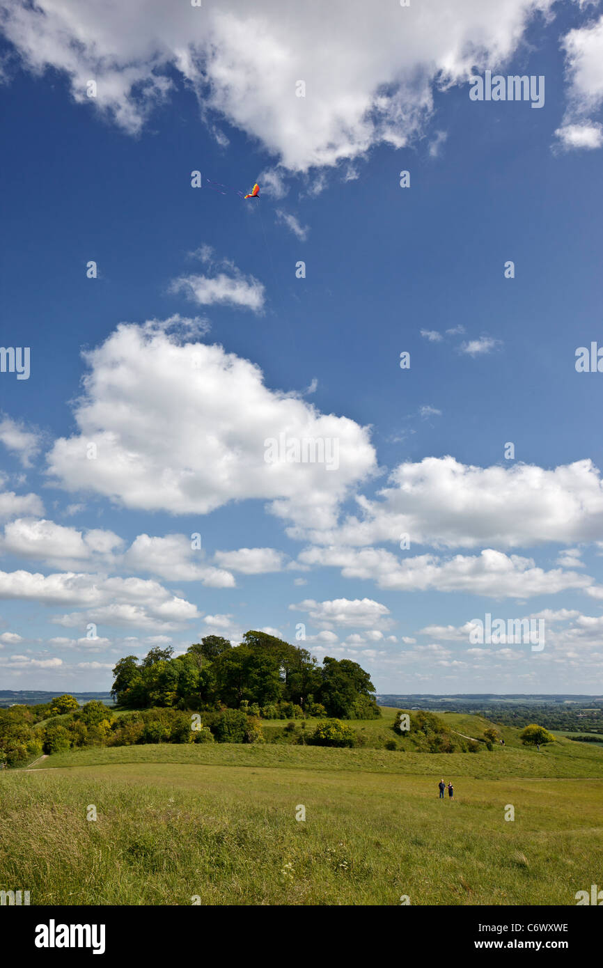 Kite tracing hires stock photography and images Alamy