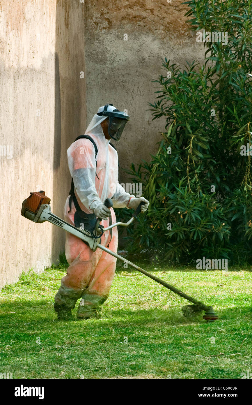 Council worker using a petrol strimming machine (commercial Stihl strimmer) the grass in full protective clothing Stock Photo