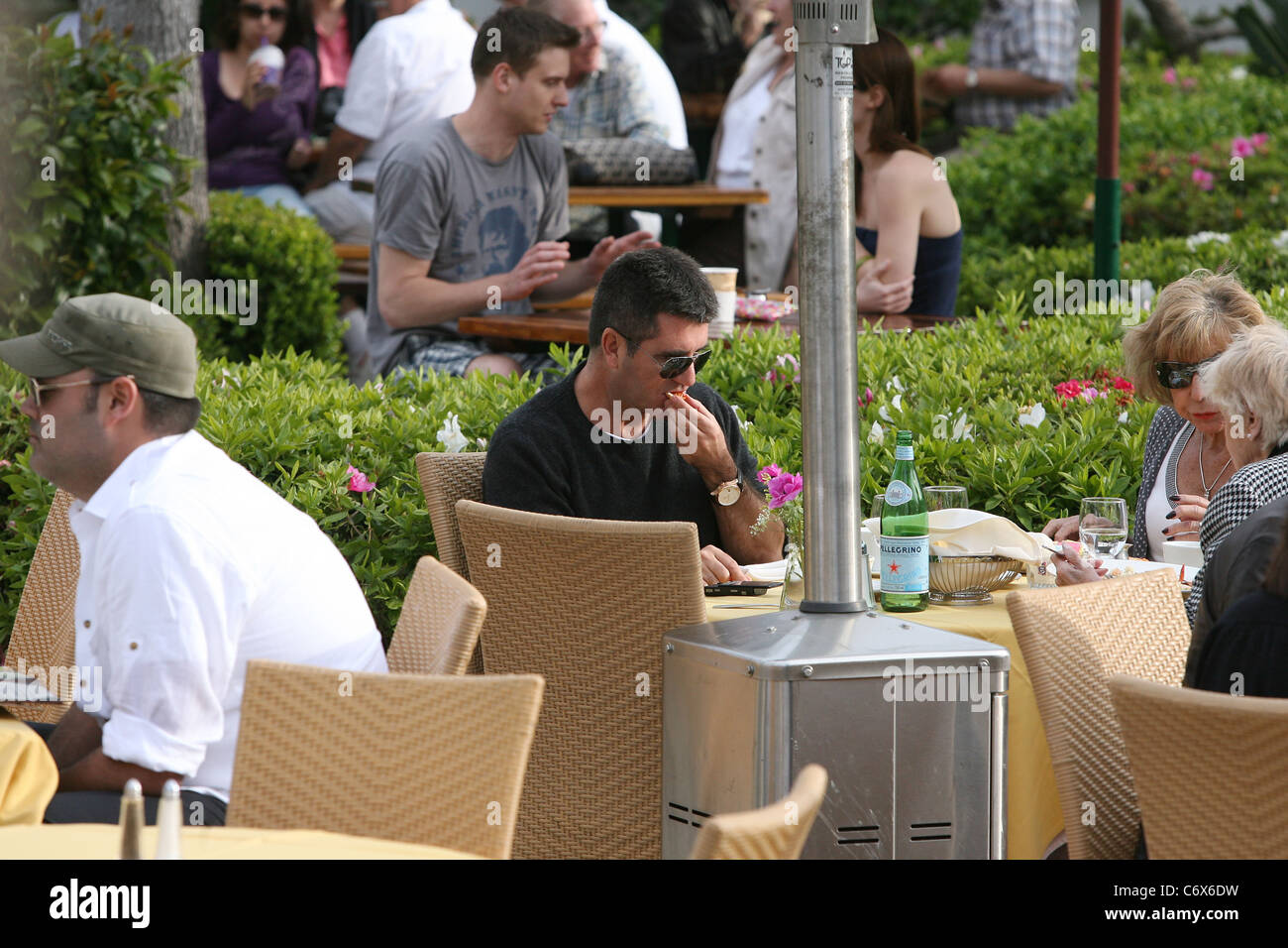 Simon cowell dog hi-res stock photography and images - Alamy