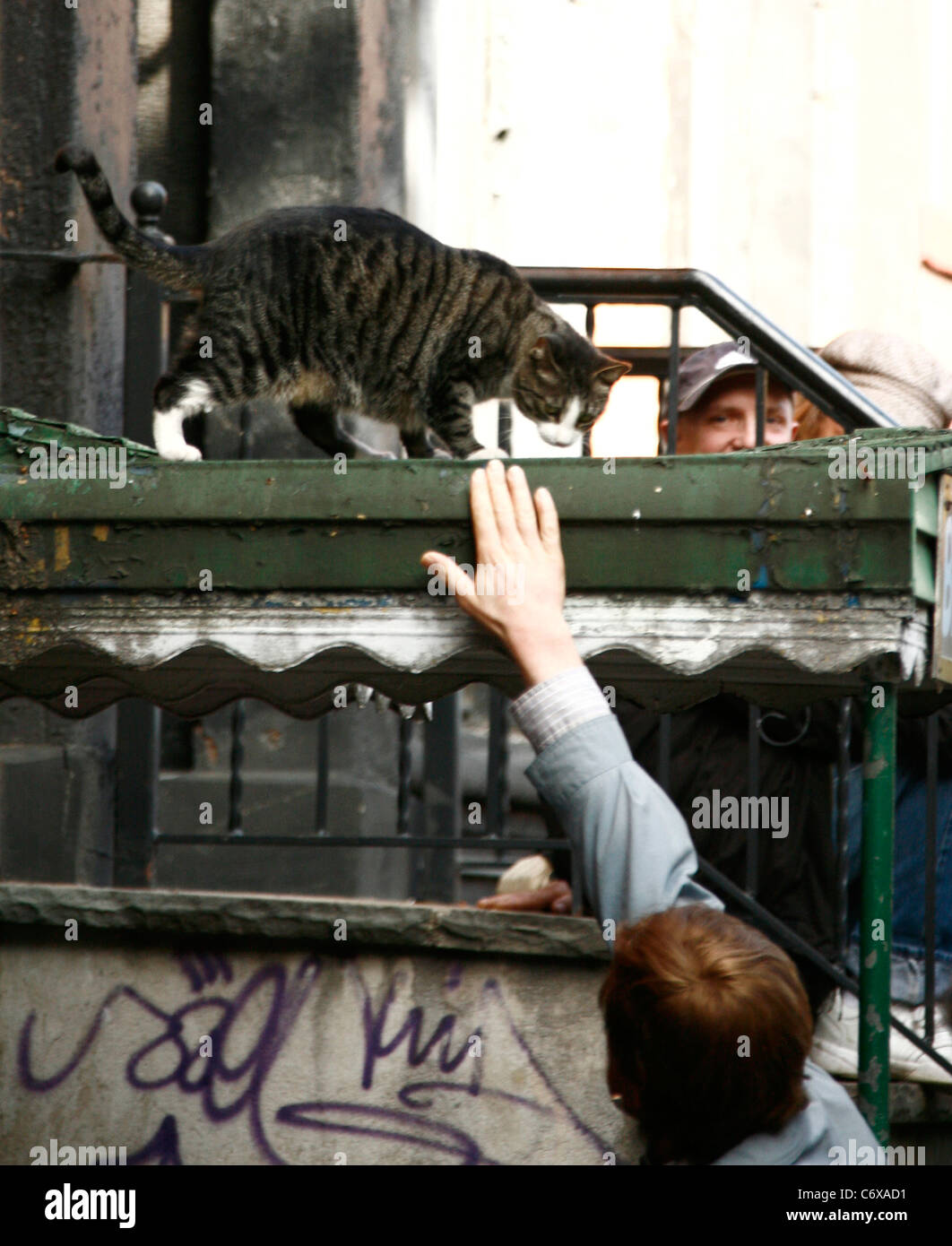 Michael C. Hall on the film set for East Fifth Bliss, tries to