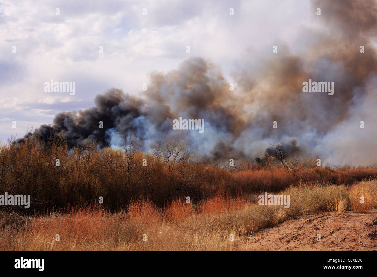 A wildfire burning in central New Mexico. Stock Photo