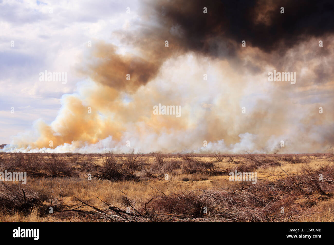A wildfire burning in central New Mexico. Stock Photo