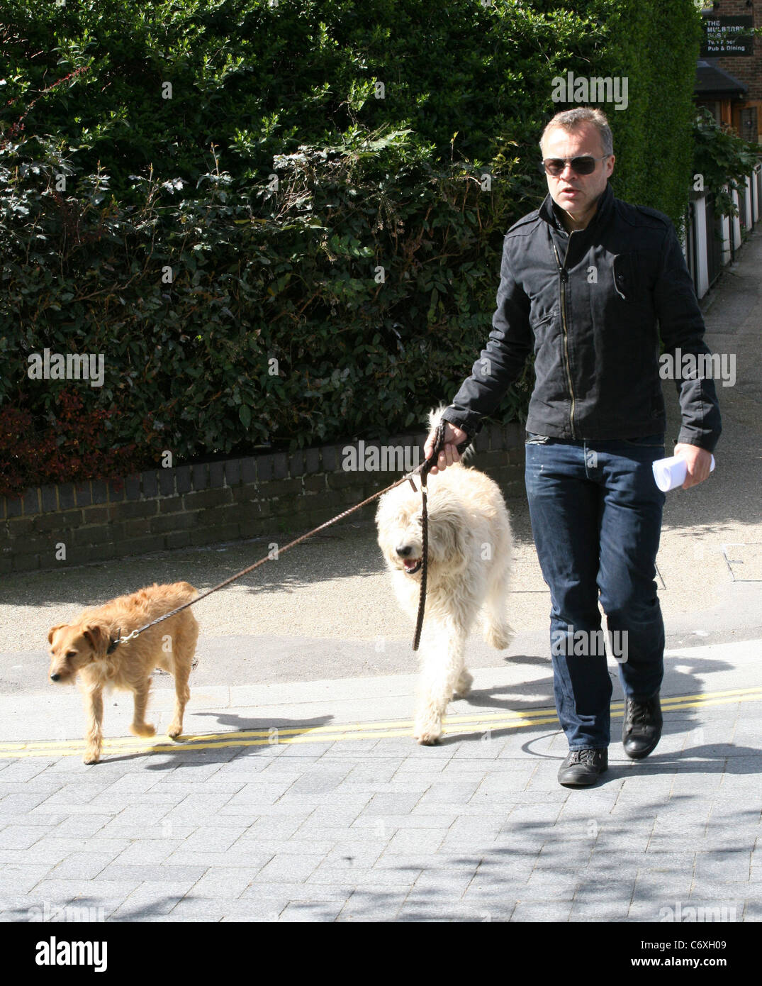 Graham norton seen walking his dogs home london hi-res stock ...