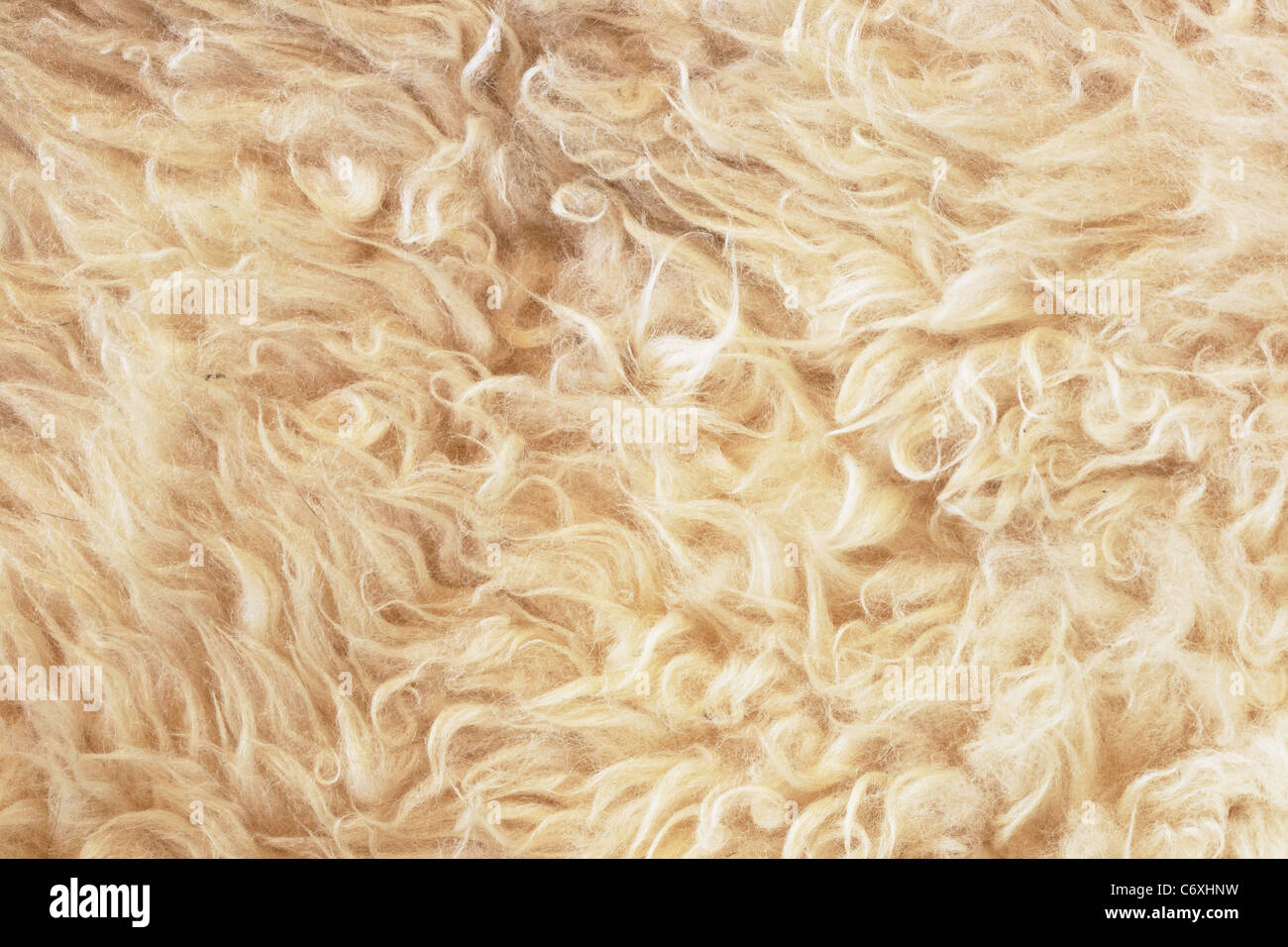 gray woolly sheep fleece for background texture Stock Photo